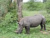 DSCN0794.JPG