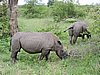 DSCN0799.JPG