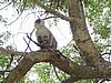 DSCN0804.JPG