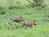 DSCN0808.JPG