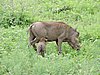 DSCN0809.JPG