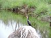 DSCN0812.JPG