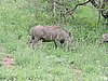 DSCN0813.JPG