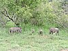 DSCN0814.JPG