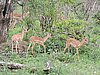 DSCN0815.JPG