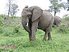 DSCN0816.JPG