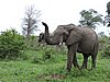 DSCN0819.JPG