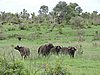 DSCN0821.JPG