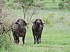 DSCN0823.JPG