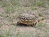 DSCN0825.JPG