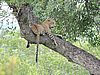 DSCN0838.JPG