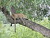 DSCN0847.JPG