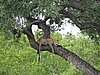 DSCN0852.JPG