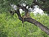 DSCN0862.JPG