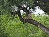 DSCN0864.JPG