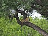 DSCN0865.JPG