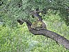 DSCN0876.JPG