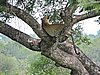 DSCN0882.JPG