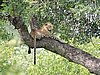 DSCN0884.JPG