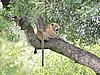DSCN0890.JPG