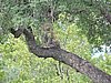 DSCN0900.JPG