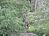 DSCN0915.JPG