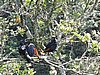 DSCN0938.JPG