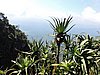 DSCN0940.JPG