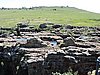 DSCN0947.JPG