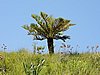 DSCN0960.JPG