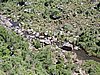 DSCN0966.JPG