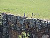 DSCN0970.JPG
