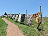 DSCN0976.JPG