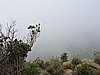 DSCN0983.JPG