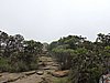 DSCN0984.JPG