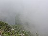 DSCN0985.JPG