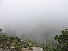 DSCN0988.JPG