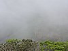 DSCN0989.JPG