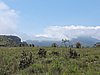 DSCN0992.JPG