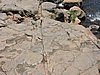 DSCN1001.JPG