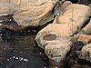 DSCN1004.JPG