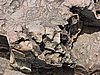 DSCN1006.JPG