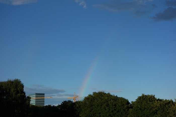 DSC04240.JPG