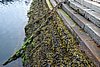 DSC03837.JPG