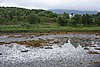 DSC03845.JPG