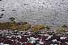 DSC03848.JPG