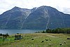 DSC03875.JPG