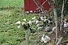 DSC03876.JPG