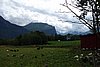 DSC03877.JPG