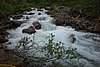DSC03899.JPG